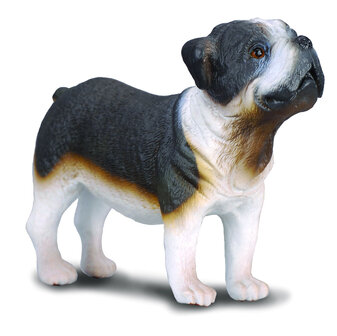 Collecta 88179 Bull Dog