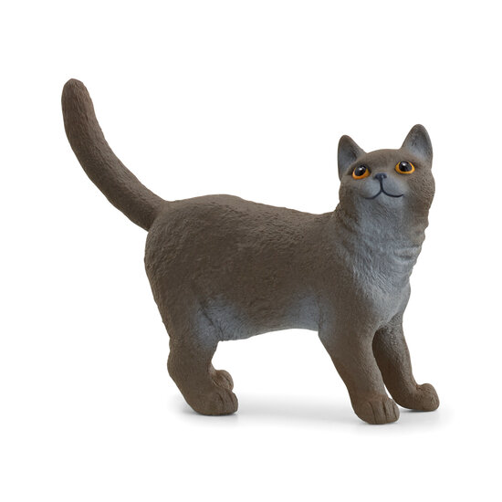 Schleich 13973 Britse korthaar Kat