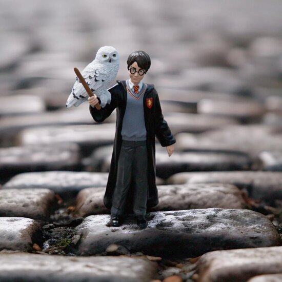 Schleich 42633 Harry Potter en Hedwig