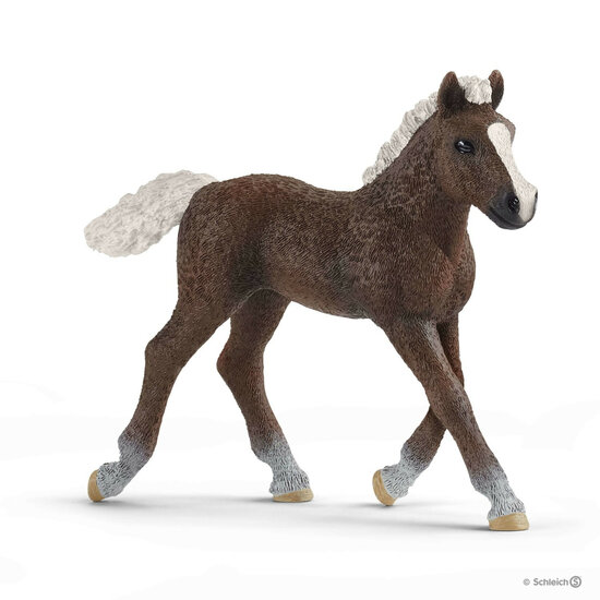 Schleich 13899 Schwarzw&auml;lder Veulen