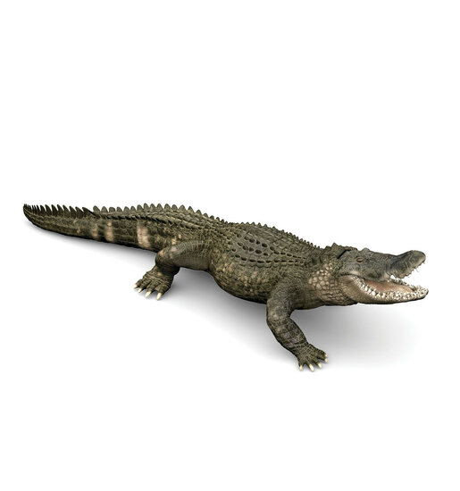 Papo 50254 Alligator