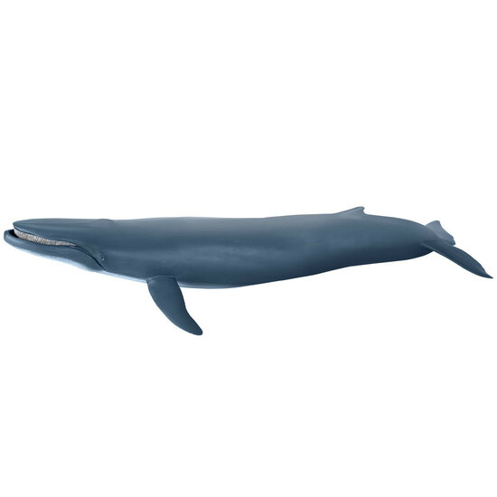 Papo 56037 Blauwe Walvis