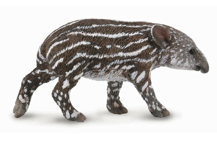 Collecta 88597 Tapir kalf