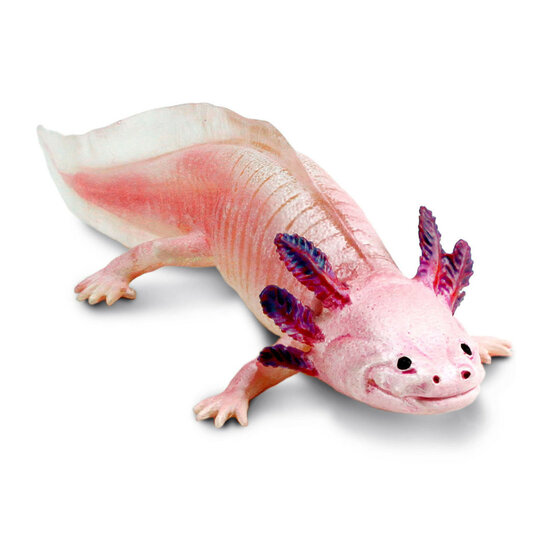 Safari 104650 Axolotl