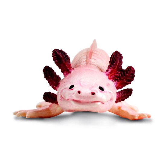 Safari 104650 Axolotl