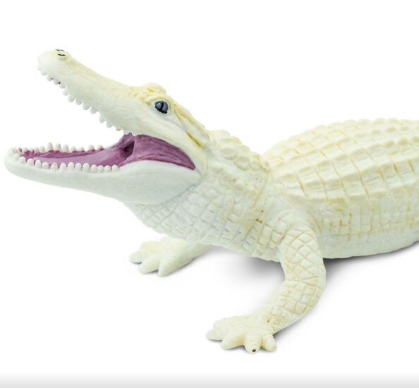 Safari 291929 Witte alligator