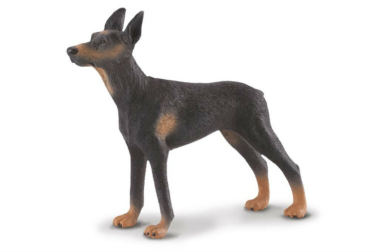 Collecta 88086 Doberman Pinscher