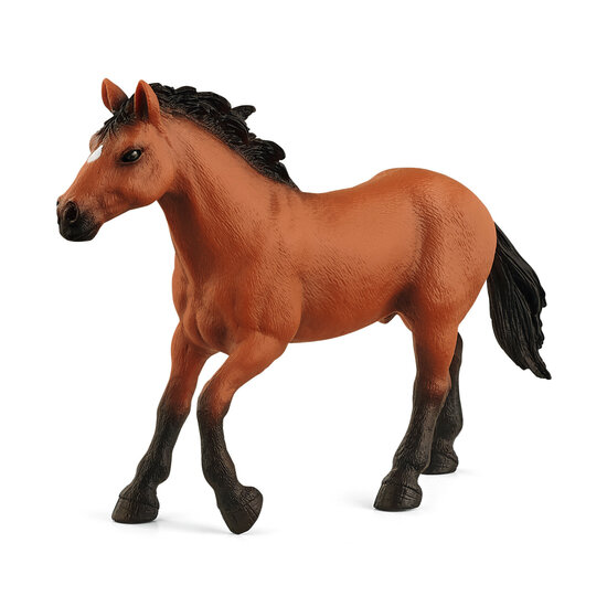 Schleich 72152 Appaloosa Hengst (Limited Edition)