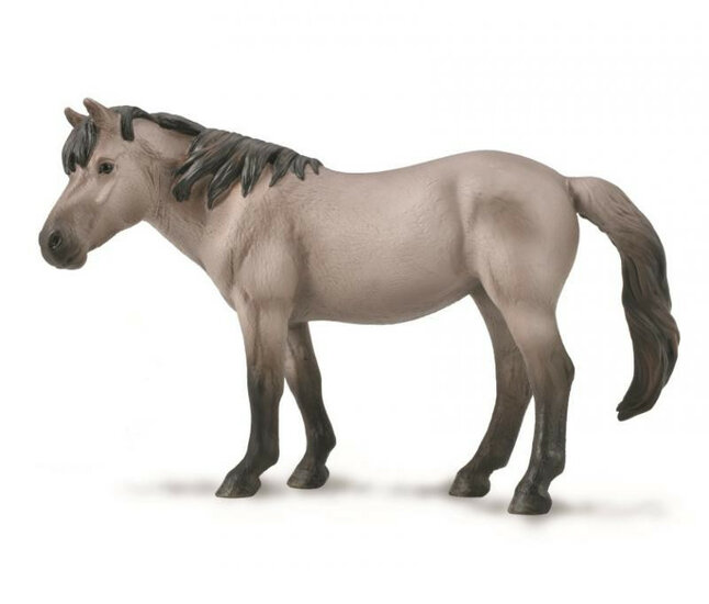 Collecta 88926 Konik Merrie Wildkleur