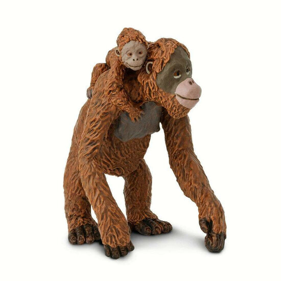 Safari 293529 Orang-oetan met baby