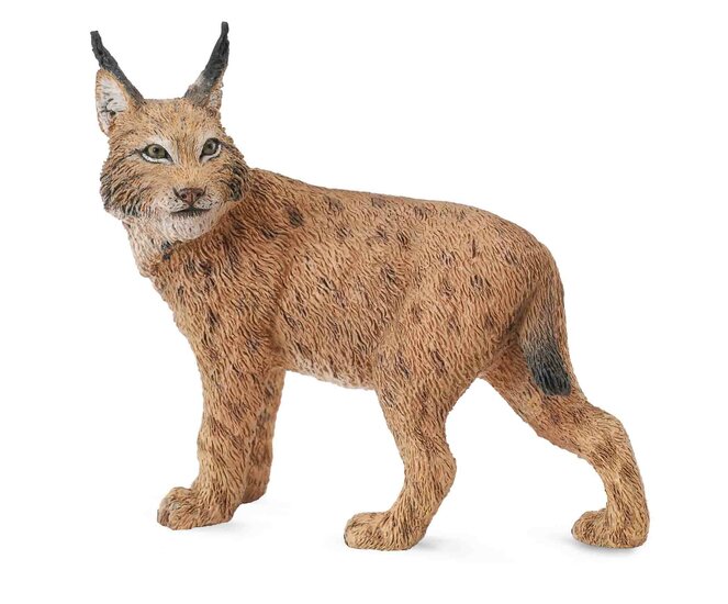 Collecta 89568 Wilde Dieren set