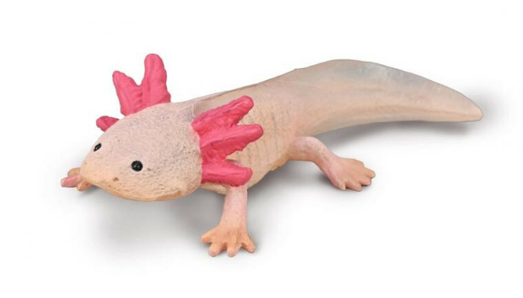 Collecta 80015 Axolotl