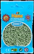 Hama mini kralen kl 101 Eucalyptus