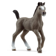 Schleich 13957 Selle Fran&ccedil;ais Veulen