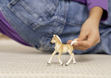 Schleich 13951 Haflinger Veulen