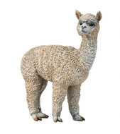 Collecta 88960 Alpaca