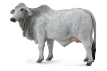 Collecta 88580 Brahman Koe