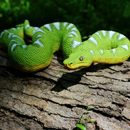 Safari 101084 Smaragdgroene Boa