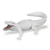 Safari 291929 Witte alligator