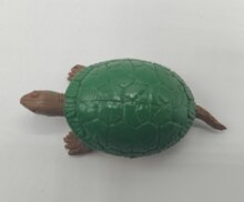 Safari Sierschildpad