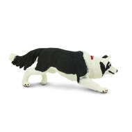 Safari 254529 Border Collie