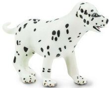 Safari 239629 Dalmatier Puppy