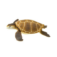 Safari 202329 Groene Zeeschildpad