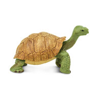 Safari 272529 Reuzenschildpad