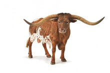 Collecta 88925 Texas Longhorn Stier