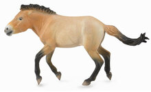 Collecta 88602 Przewalski hengst