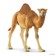 Schleich 14832 Dromedaris