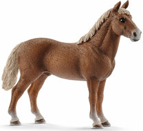 Schleich 13869 Morgan hengst