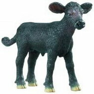 Safari 236429 Black Angus Kalf