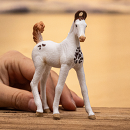 Schleich 14896 Marwari-veulen