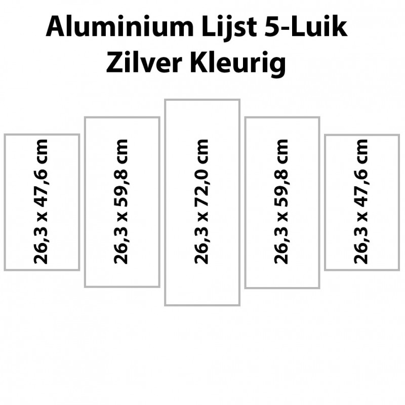 Voorrecht Viva Brein Zilverkl. aluminium lijst vijfluik 132 x 72 cm