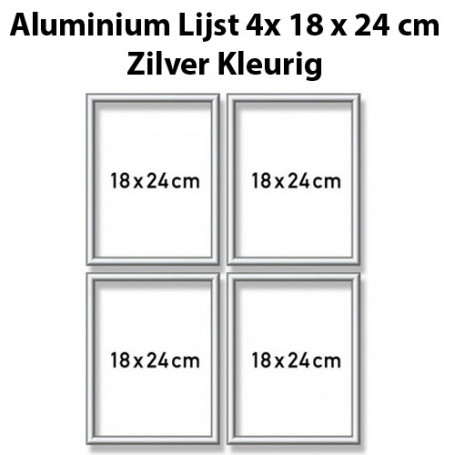 Zilverkl. aluminium lijst Quattro 18x24 cm