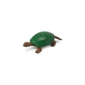 Safari Painted Turtle