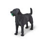 Safari 253429 Black Labrador