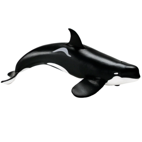 Safari 103538 Orca