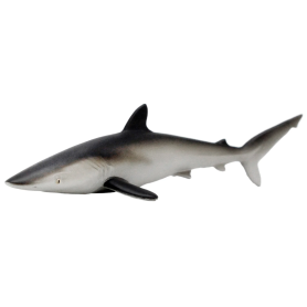 Safari 100208 Requin soyeux