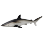 Safari 100208 Requin soyeux