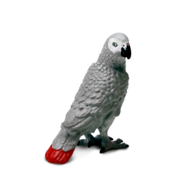 Safari 100201 Afrikaanse grijze papegaai